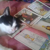 تاروت و دعای قرآنی (از قیمتش سوپرایز میشی)