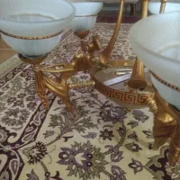 یک عدد لوستروتخت یک نفره