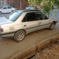 پژو۴۰۵دوگانه