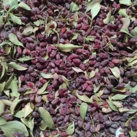 زرشک|عمده‌فروشی|بیرجند, |دیوار