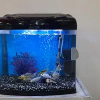 اکواریومم60لیتربرندماهیران باماهی کمدMDF تمیز و نو