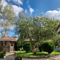 نیروی خدماتی رستوران