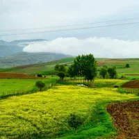 جوای کار.باغبانی و سرایداری