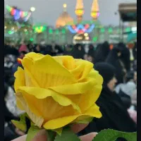 تور زیارتی وسیاحتی