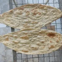 شاطر خانم یا اقا