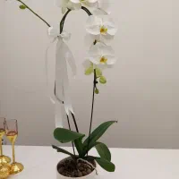 گلدان ارکیده لوکس