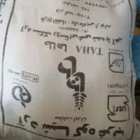 ارد شیاکو