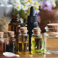 آموزش تخصصی و فرصتی برای یادگیری و درآمد