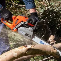 هرس، قطع درخت و خرید چوب درختان باغی