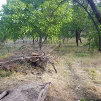 خونه باغ فروشی دمق جعفر اباد