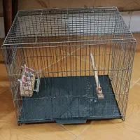 قفس پرنده