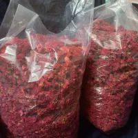 فروش گل انار فارسی
