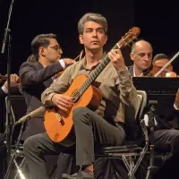 آموزش/تدریس گیتار در همه مناطق تهران