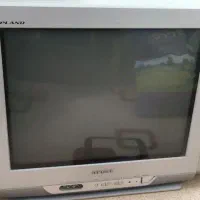 تلویزیون