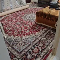 قالی باغ ۱۲ متری پر تراکم