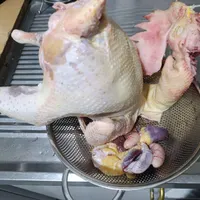 خروس، مرغ، مرغابی و غاز|حیوانات مزرعه|تهران, کاظم‌آباد|دیوار