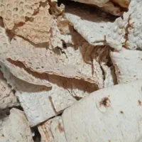 3گونی  نون خشک تمبز