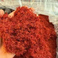 بوری زعفران یا نرمه زعفران