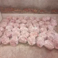 تلفات سگ و گربه تمیز شده بدون بو