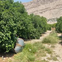 فروش باغ