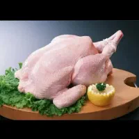 فروش مرغ و تخم مرغ.... با کالابرگ و ارسال رایگان