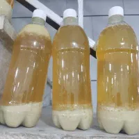 آب لیمو خانگی