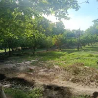 زمین.باغ.ویلا.باغچه قابل ساخت
