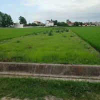 ۱۰۰۰ متر مناسب سرمایه گذاری در شمال