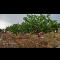 باغ ویلا۷۰۰۰ متری