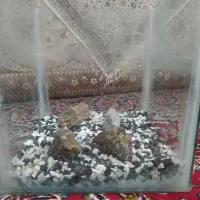 آکواریم سالم