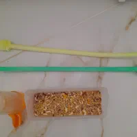 عروس هلندی