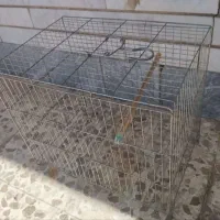 قفس پرنده