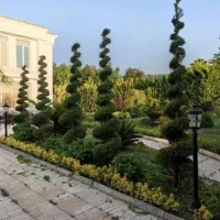خدمات باغبانی در سراسر کرج و تهران پذیرفته میشود