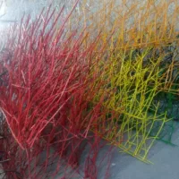 حفاظ روی دیوار بوته ای شاخ گوزنی میلگردی