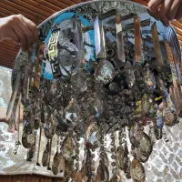 فروش ۲عدد لوستر