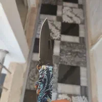 چاقوه کوهی