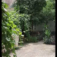 فروش-زمین-510-متری-بر-اصلی-روزبه