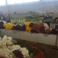 نیروی کار برای غرفه ی بازار گل و گیاه