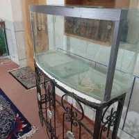 آکواریم شیشه خم دست ساز سفارشی با میز