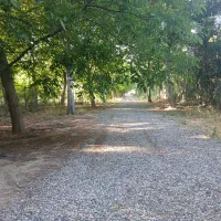 باغ-800-متری-کنار-رودخانه