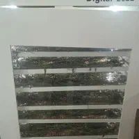 دستکاه میوه خشک کن
