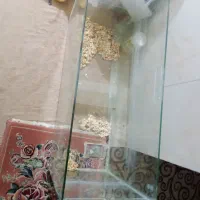 آکواریوم بزرگ