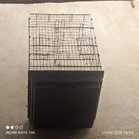 قفس پرنده