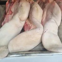 مغز وزبان  گوساله تازه