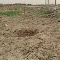 فروش-زمین-1020-متری-در-صالحیه