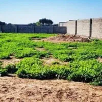 زیگورات-بن-جعفر