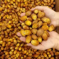 قصب تازه 600 گرمی