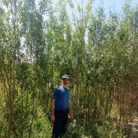 فرو.ش نهـا.ل با مــشا.وره تخـصــصـی