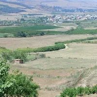 فروش-زمین-کشاورزی-باغی