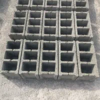 بلوک باغی دورچین